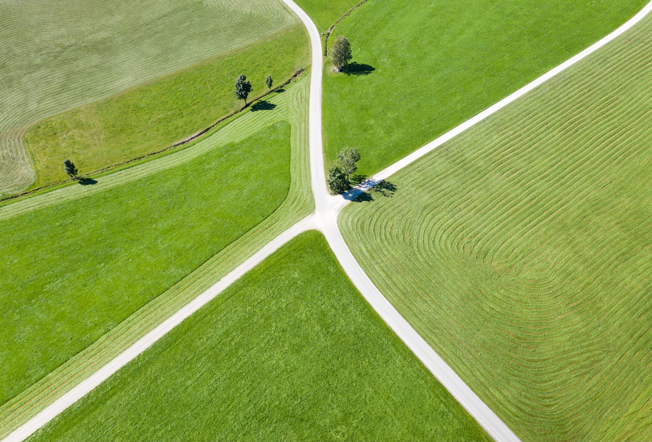 Vogelperspektive auf eine Wegkreuzung zwischen saftig grünen Wiesen